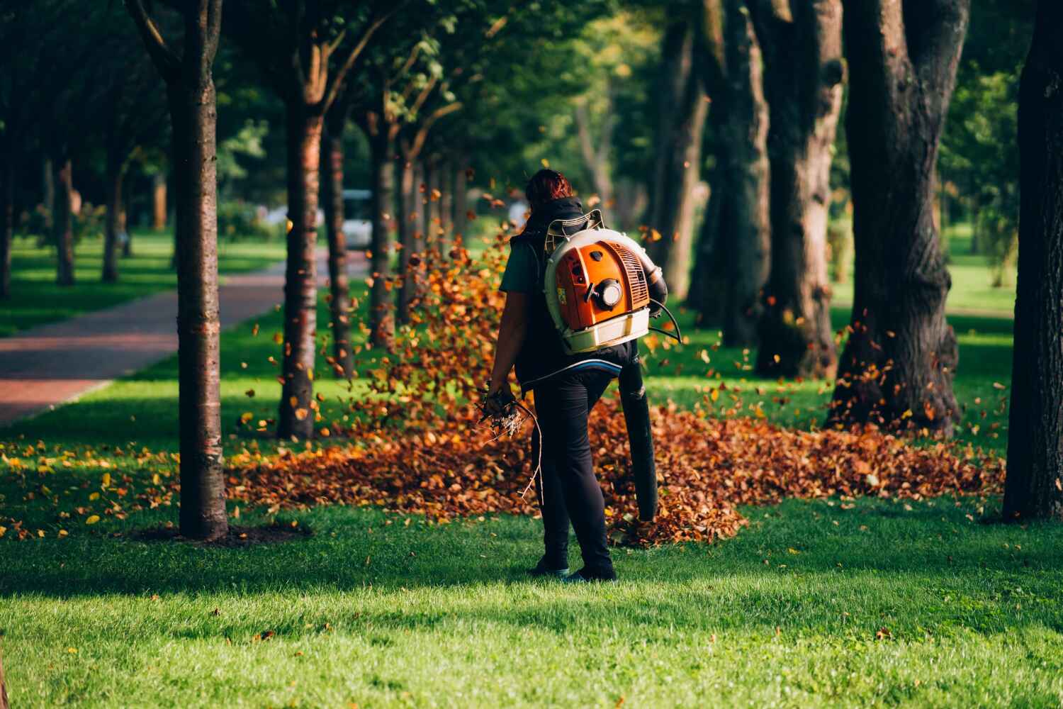 Tree Removal for Businesses in Carthage, NC